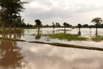 Loss Adjuster Pembroke Pines