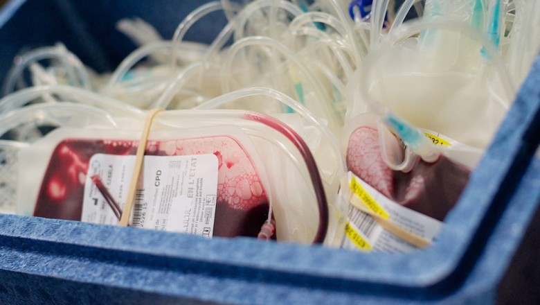 Know About the Process of Cord Blood Banking