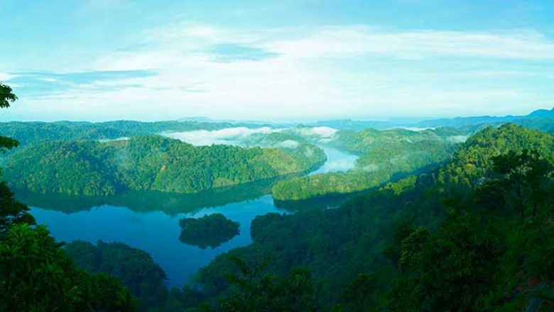 Premium Luxury Resort to Stay in Munnar