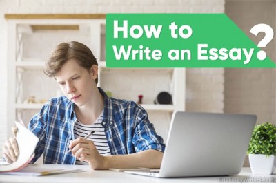 Development of Environmental Movements | Online Assignment Help | Acemyhomework Writers