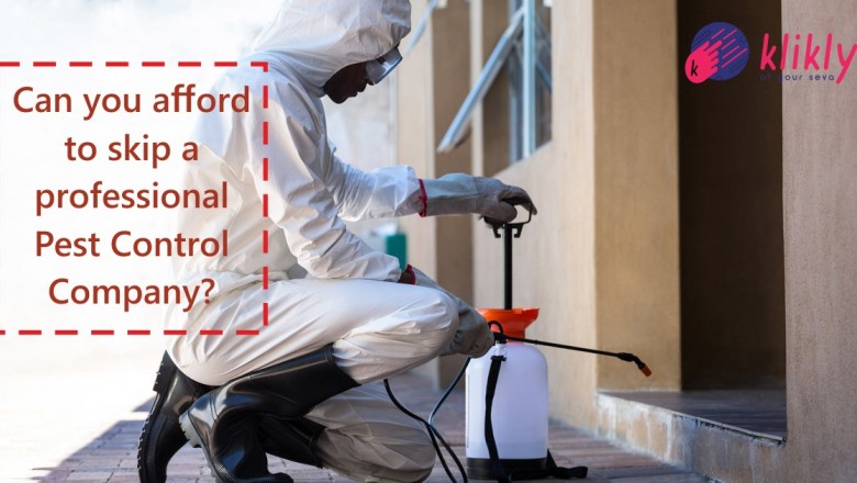 Pest Control In Delhi, Termite Control In Noida, Bed Bug Control In Gurgaon