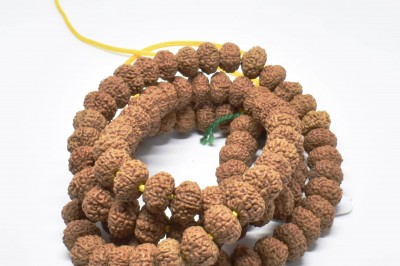 Buy Online 9 Mukhi Natural Rudraksha Mala Nepal Beads