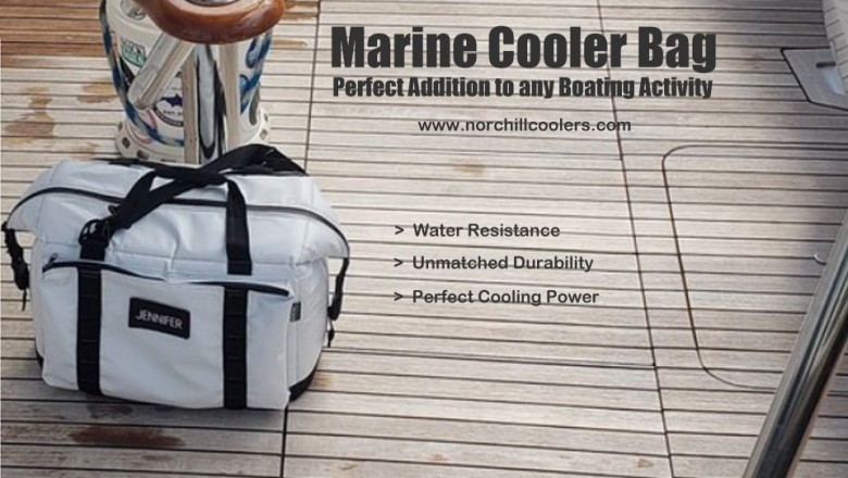 Best Marine Cooler