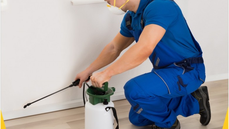 Pest Control in Delhi , termite Control In Delhi, Bed Bug Control In Gurgaon,Cockroach Control