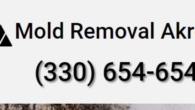 The Highlights from the Mold Removal Process