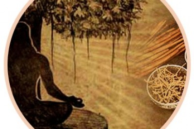 Vardhan Ayurveda : Ayurvedic Treatment For All Diseases