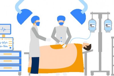 Chief of Pediatrics Email List