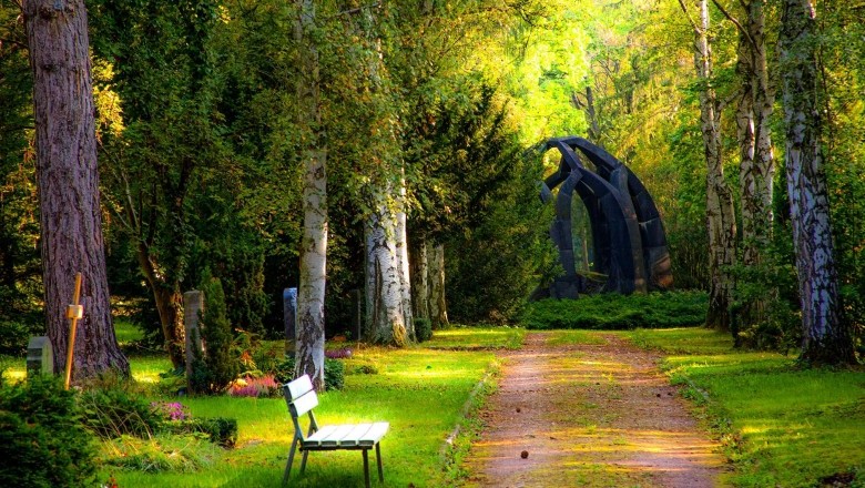 Spend Time In Nature & Reduce Stress