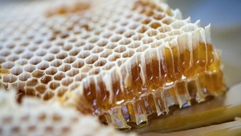 Raw Honey, What Will be the Benefits?