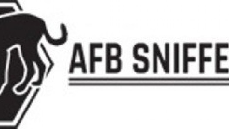 Manuka Honey: Key Health Benefits