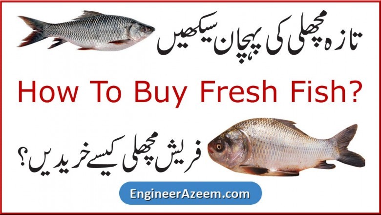 How To Buy Fresh Fish
