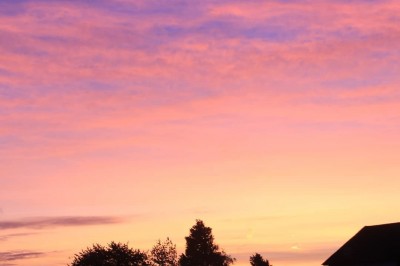 Get the Best Collection of Quotes, Shayari, Liners and Poetr quotedtext.com