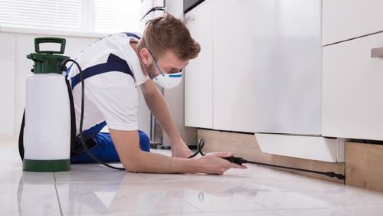 The way to Decide on The most effective Pest Control Company