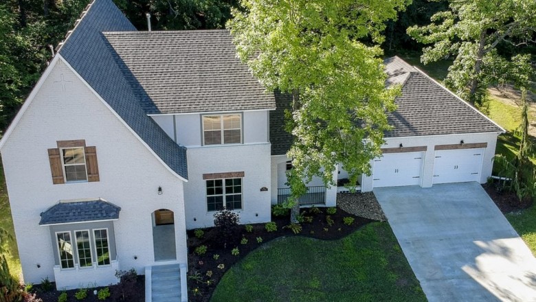 ENVIRONMENTALLY FRIENDLY CURB APPEAL: BOOSTING YOUR HOME’S VALUE WITH NATIVE PLANTS