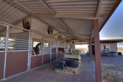 A Guide in Looking For a Horse Property