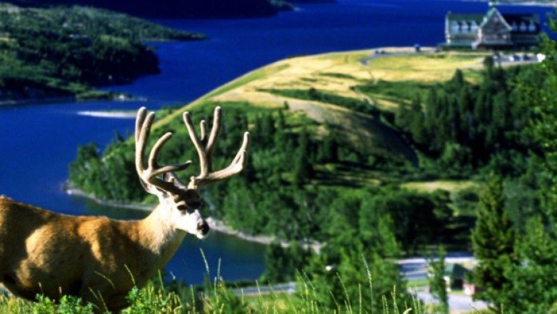 Calendar Of Events - Waterton Lakes National Park