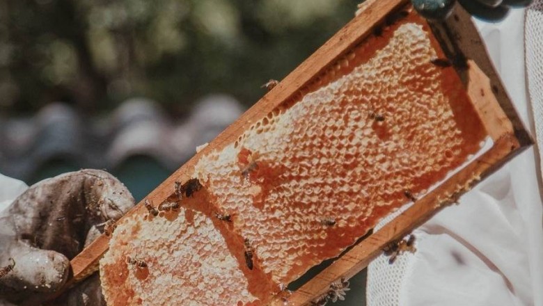 Manuka Honey Healing