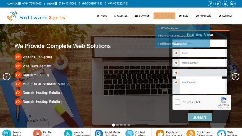 Best SEO Company in Delhi SEO Packages in Delhi