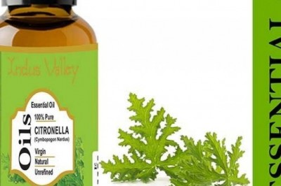 Buy Pure and Organic Citronella Essential Oil for Skin and Hair