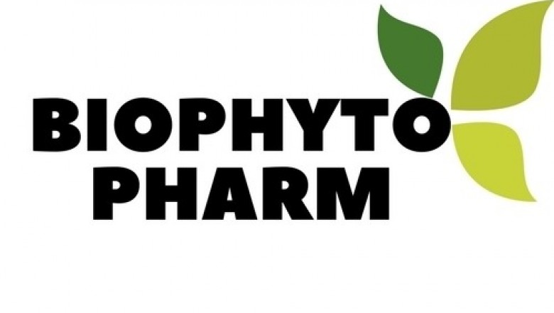 The 10 Most effective Herbal Treatments Around Today