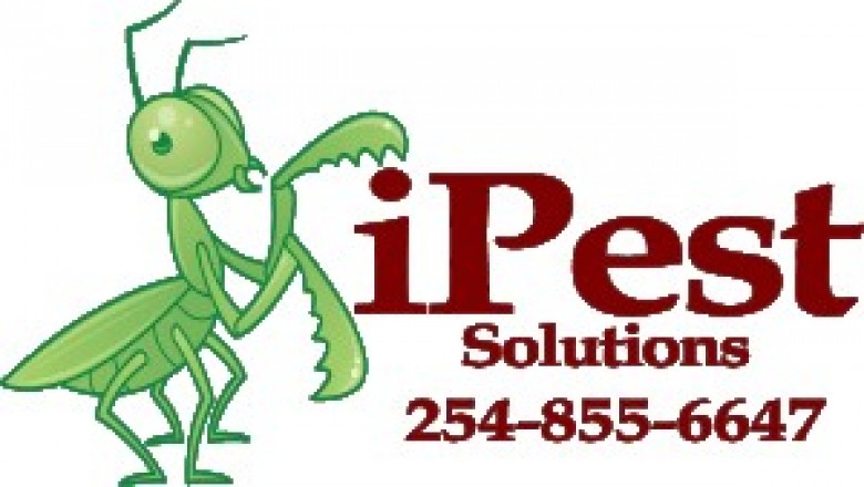 Waco pest problems How we clear it.