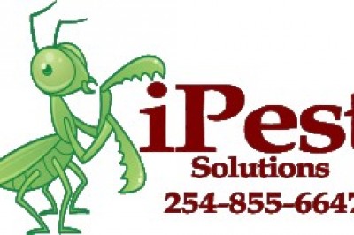 Waco pest problems How we clear it.