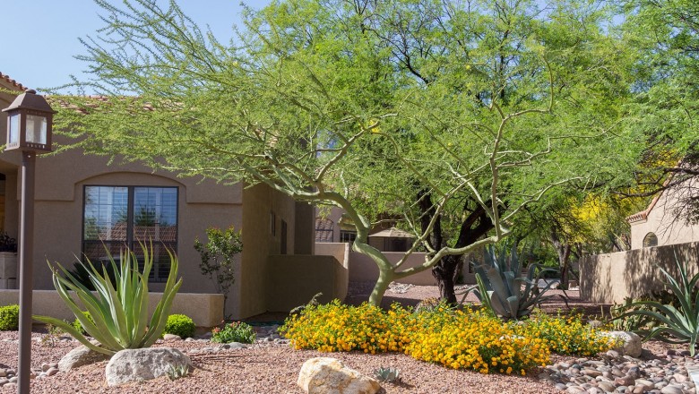 Landscaping Tucson | Lawn Maintenance Tucson