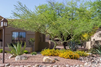 Landscaping Tucson | Lawn Maintenance Tucson