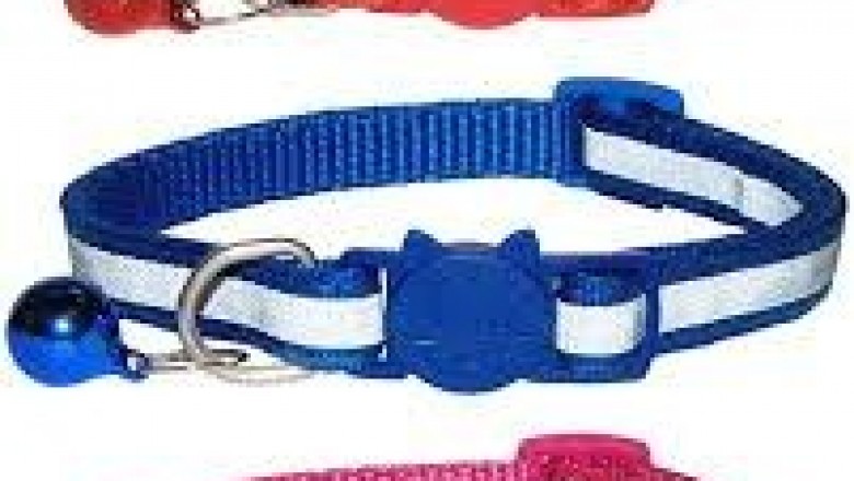 Best Cat Collars - Zacal Cat Collars