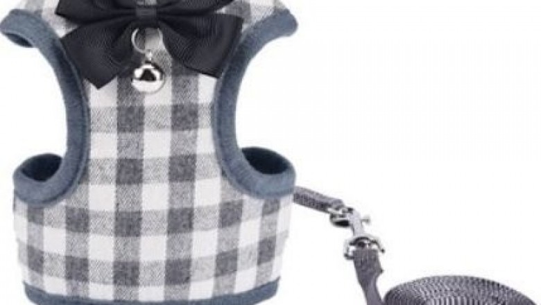 Cat Harness - Zacal Cat Collars