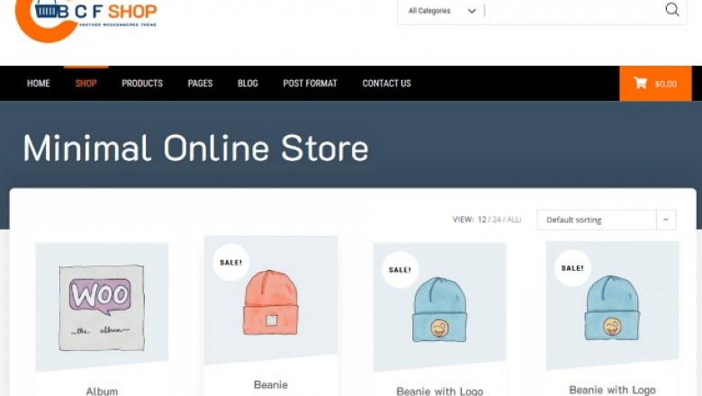 Choosing the most effective WordPress Theme