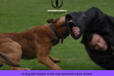 lawyers for dog bites | dog bite attorney | dog bite injury lawyer