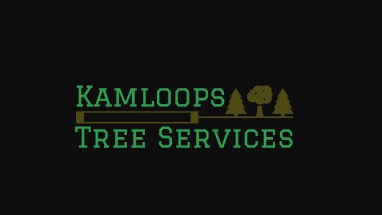 3 Reasons Why You may need a Tree Service