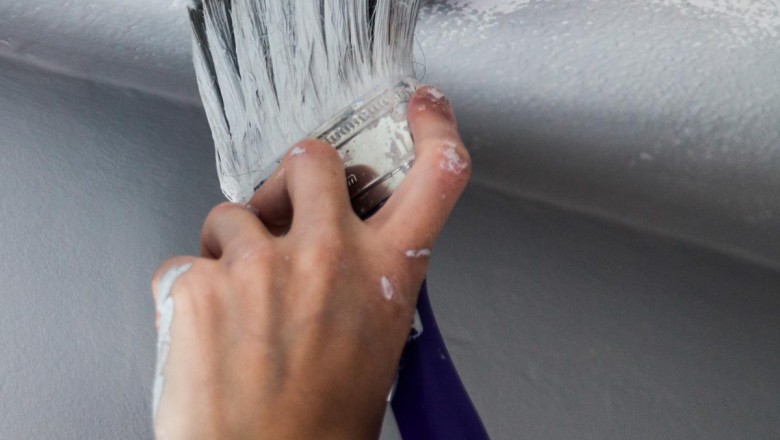 About Local House Painters in West Auckland