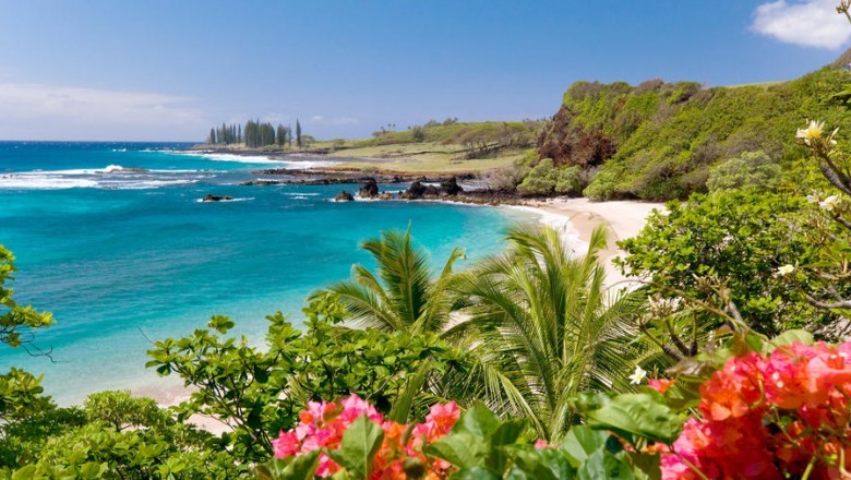 Best Airports for First Class Fly to Hawaii