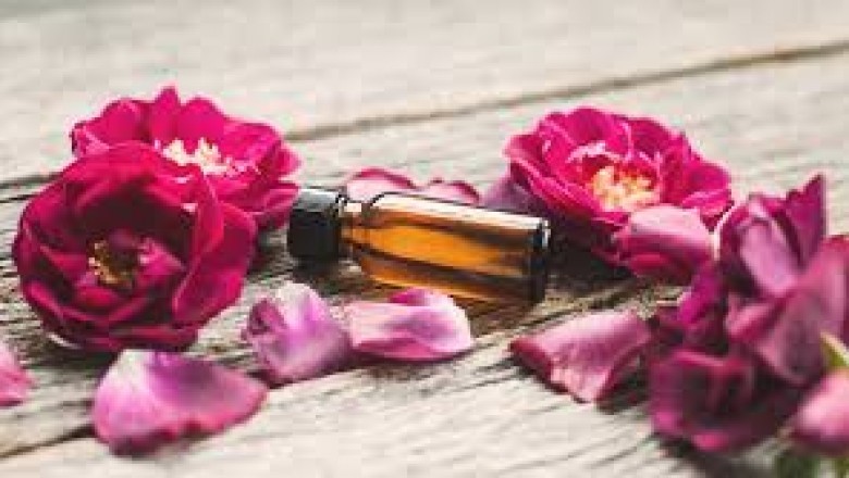 Some Great Benefits of Agarwood Essential Oil