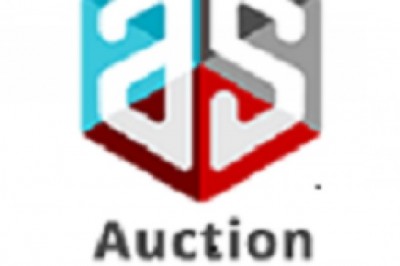 Why should you go for auction software?
