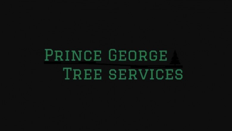 Why People Hire Tree Services