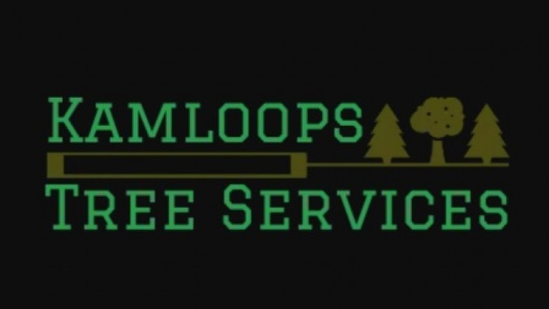 Hiring Tree Service Specialists To Handle Your Trees