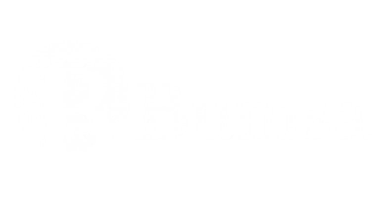 Outsourcing recruitment agency | BumsaInc