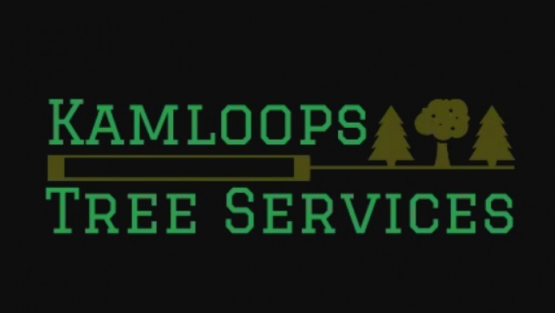 4 Indicators Which you Must Hire A Tree Service Contractor