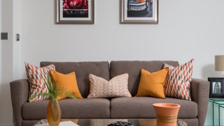 Decorative Cushion Covers and Throws