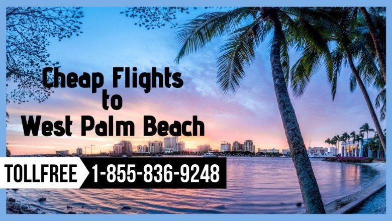 Get the Best Deals on Cheap Flights to West Palm Beach