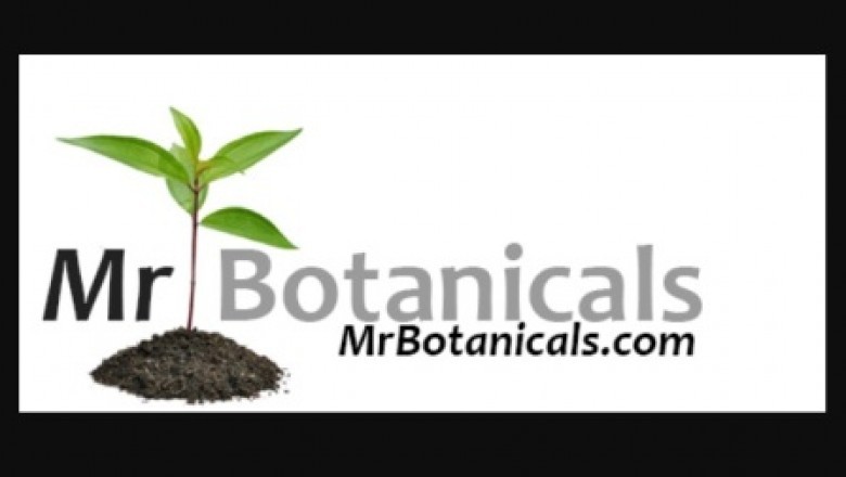 4 Verified Strategies Tips on how to Pick out the top Herbal Products