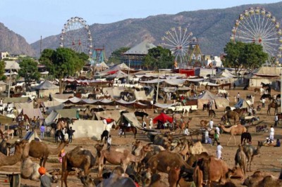 Jodhpur Tour Packages, Book Jodhpur Packages Online at  Padharo