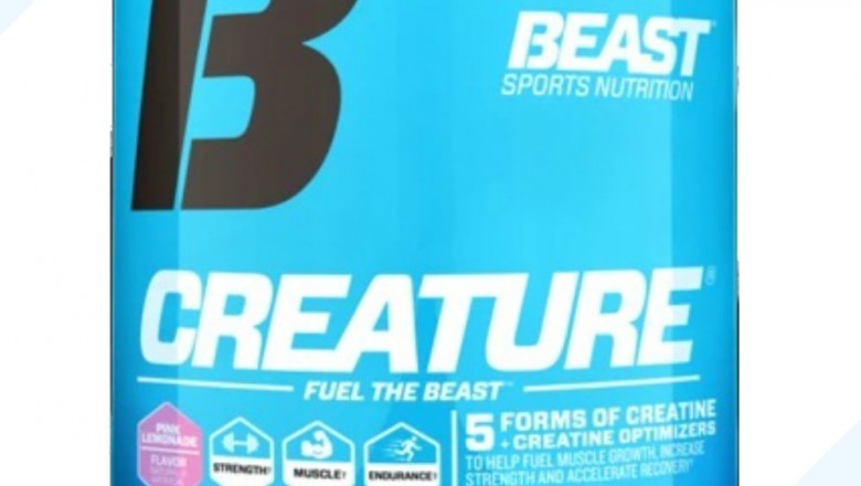 Best Muscle Recovery Powder