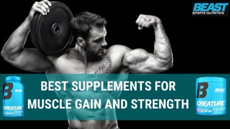 Best Supplements For Muscle Gain and Strength