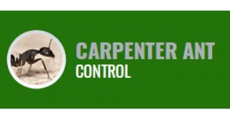Tick Control in boston
