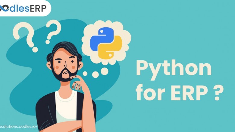 Python for an ERP software development