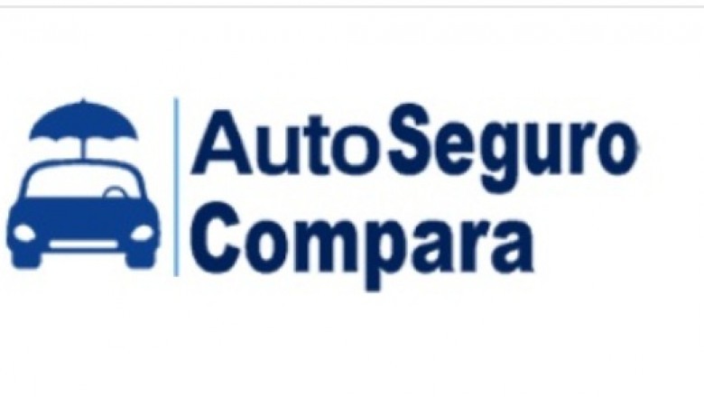The Importance of Using a Car Insurance Specialist